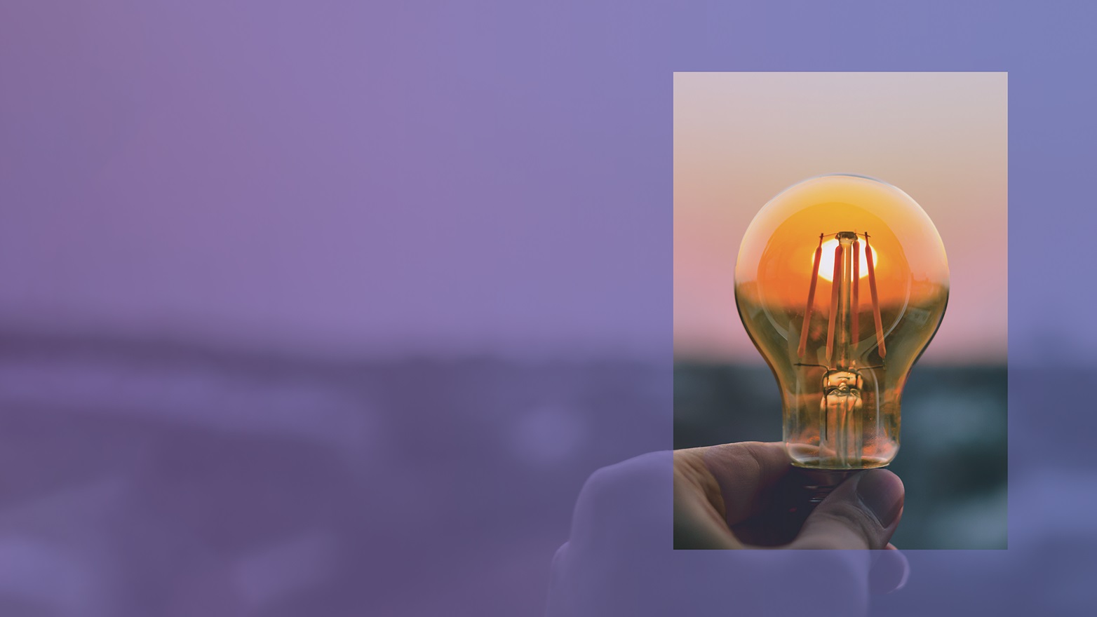 person holding a lightbulb against a sunset